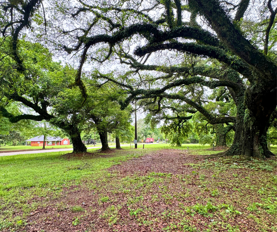 11780 Old Pascagoula Rd - Lot 1